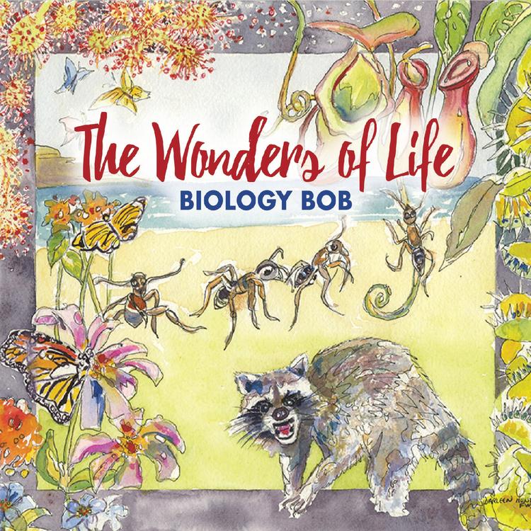 Biology Bob's avatar image