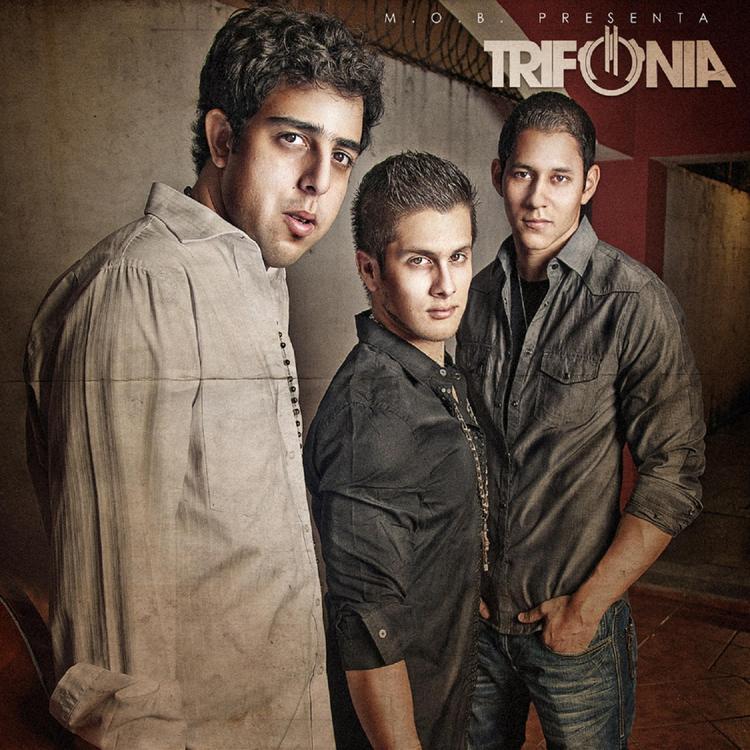 Trifonia's avatar image