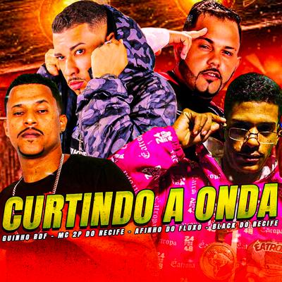 Curtindo a Onda's cover