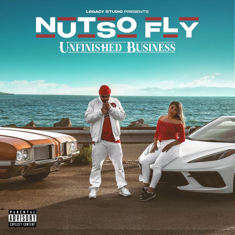NutSo Fly's avatar image