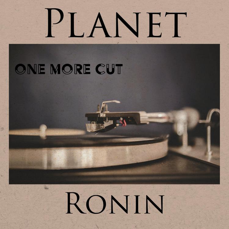 Planet Ronin's avatar image