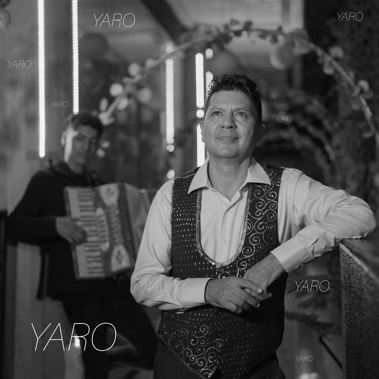 YARO CANTANTE's avatar image