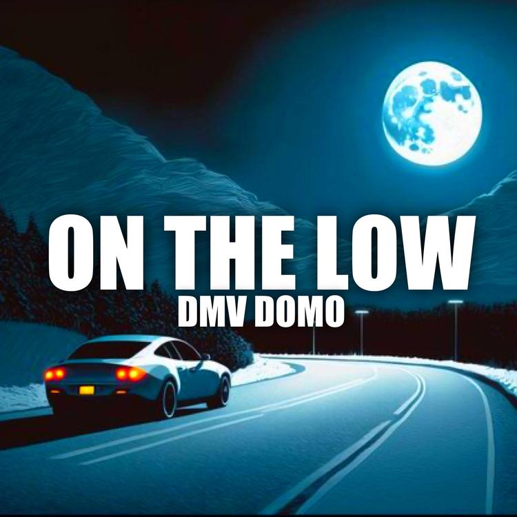 DMV Domo's avatar image