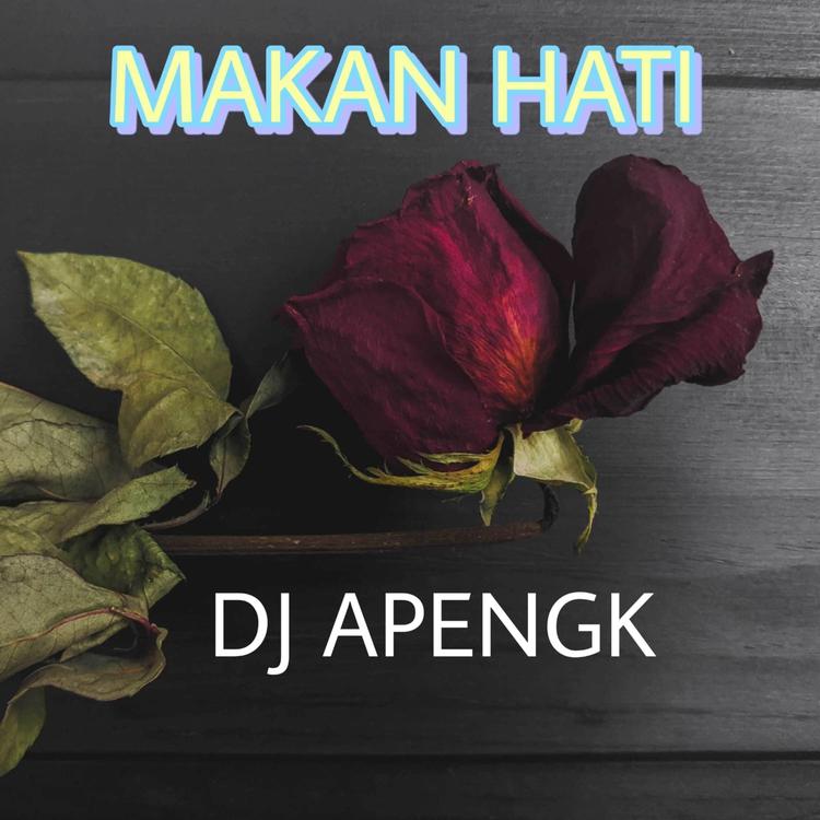 DJ APENGK's avatar image