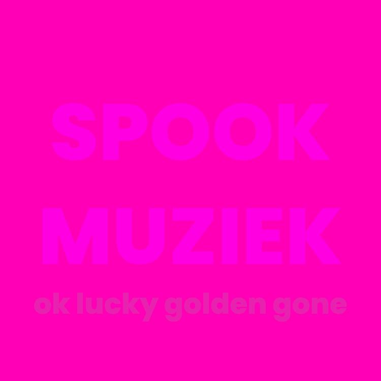 Spook Muziek's avatar image