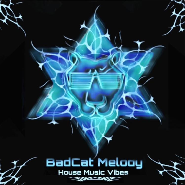 BadCat Melody's avatar image