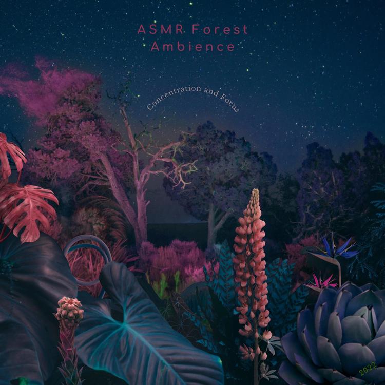 ASMR Forest Ambience's avatar image