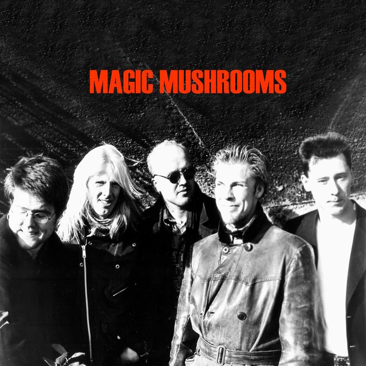 Magic Mushroom's avatar image