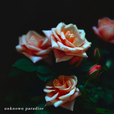 unknown paradise By beyu.'s cover