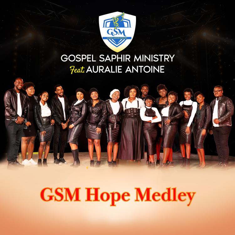 Gospel Saphir Ministry's avatar image
