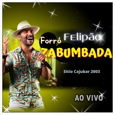 Você em minha vida - Ao Vivo By Forró Zabumbada's cover