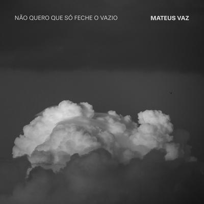 Não Quero Que Só Feche o Vazio's cover