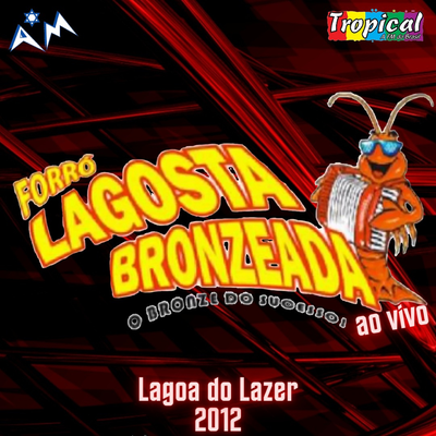 Lagoa do Lazer - 2012 (Ao Vivo)'s cover