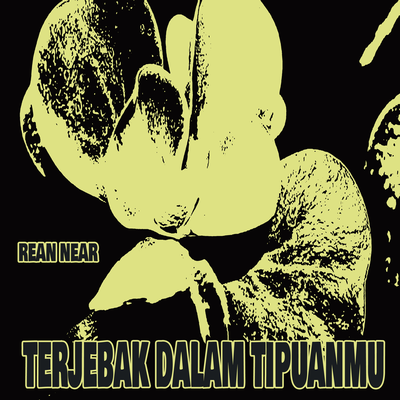 Terjebak Dalam Tipuanmu's cover