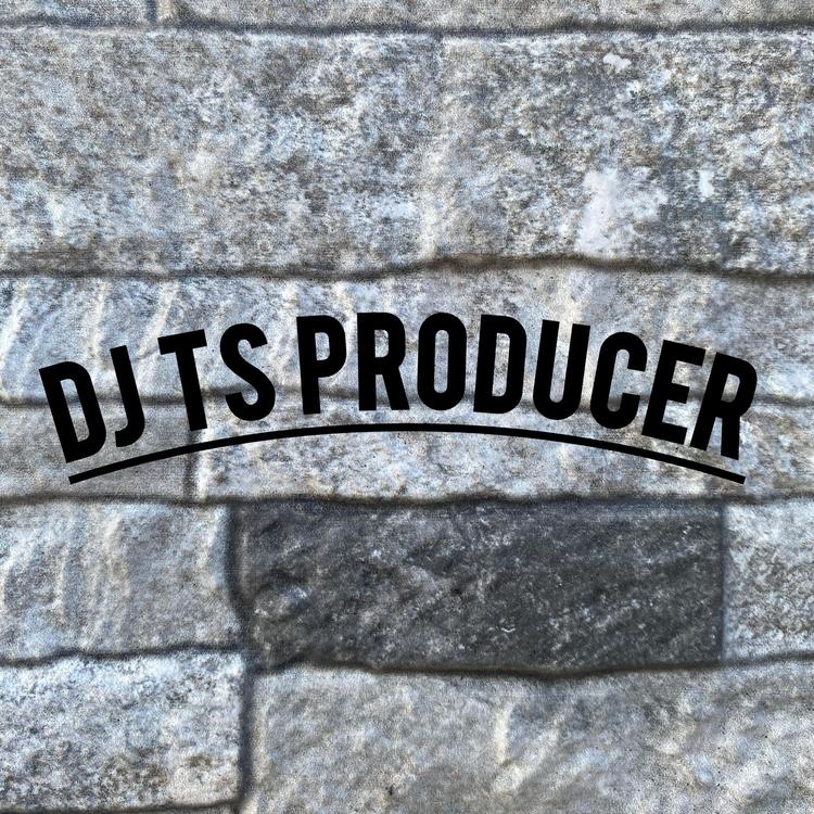 Dj TS Producer's avatar image