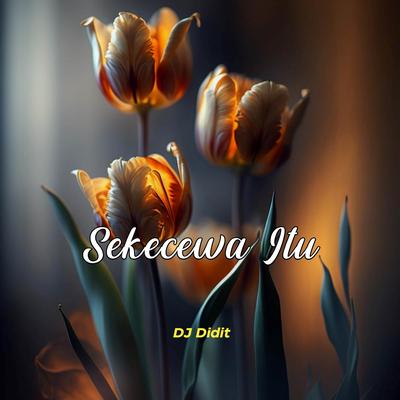 Sekecewa Itu (Remix)'s cover
