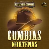 Cumbias Nortenas's avatar cover