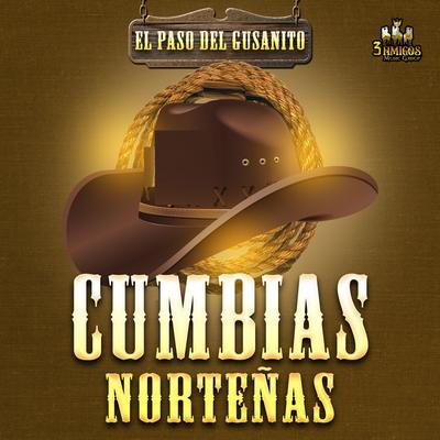 Cumbias Nortenas's cover