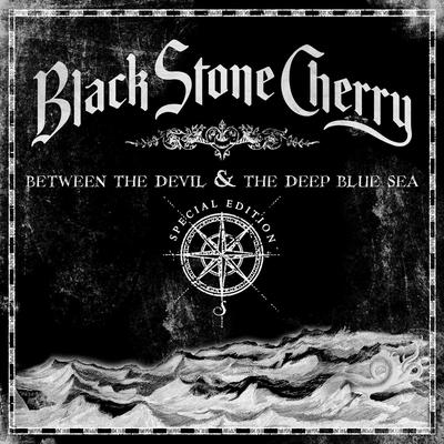 Fade Away By Black Stone Cherry's cover