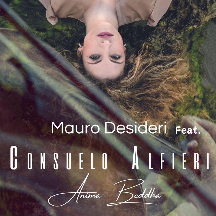 Consuelo Alfieri's avatar image