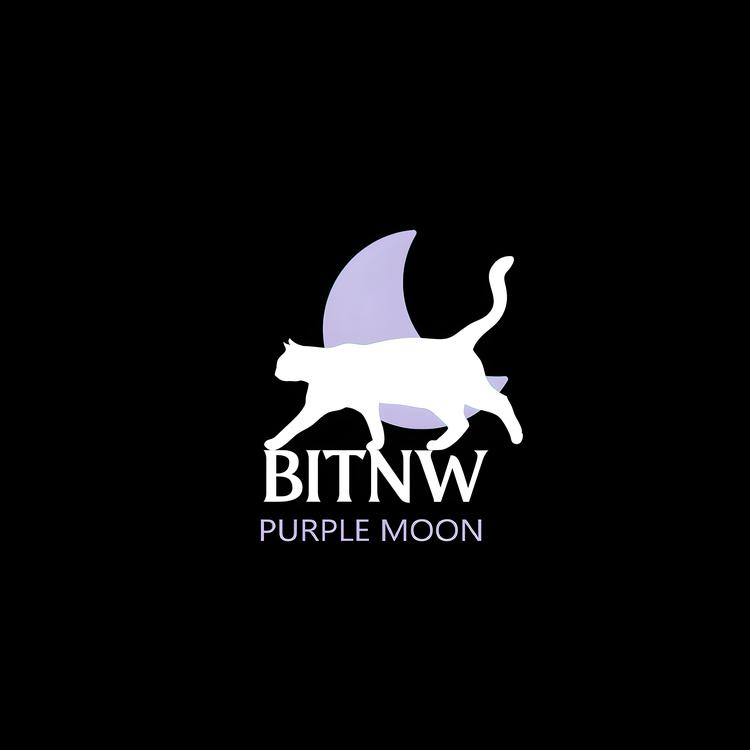 BITNW's avatar image