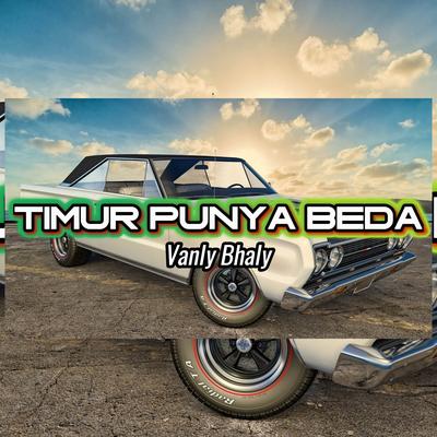 Timur Punya Beda's cover