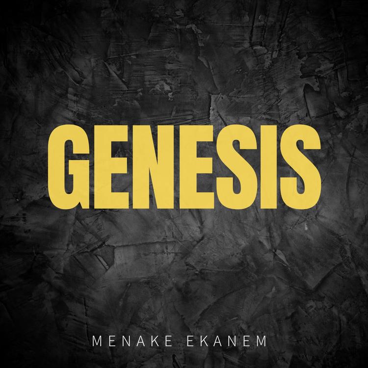 Menake Ekanem's avatar image