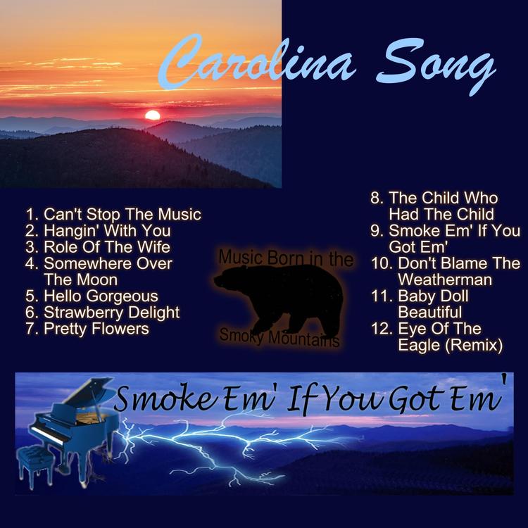 Carolina Song's avatar image