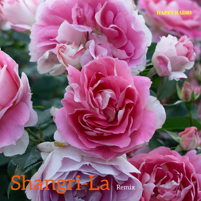 Shangri-La (Remix)'s cover