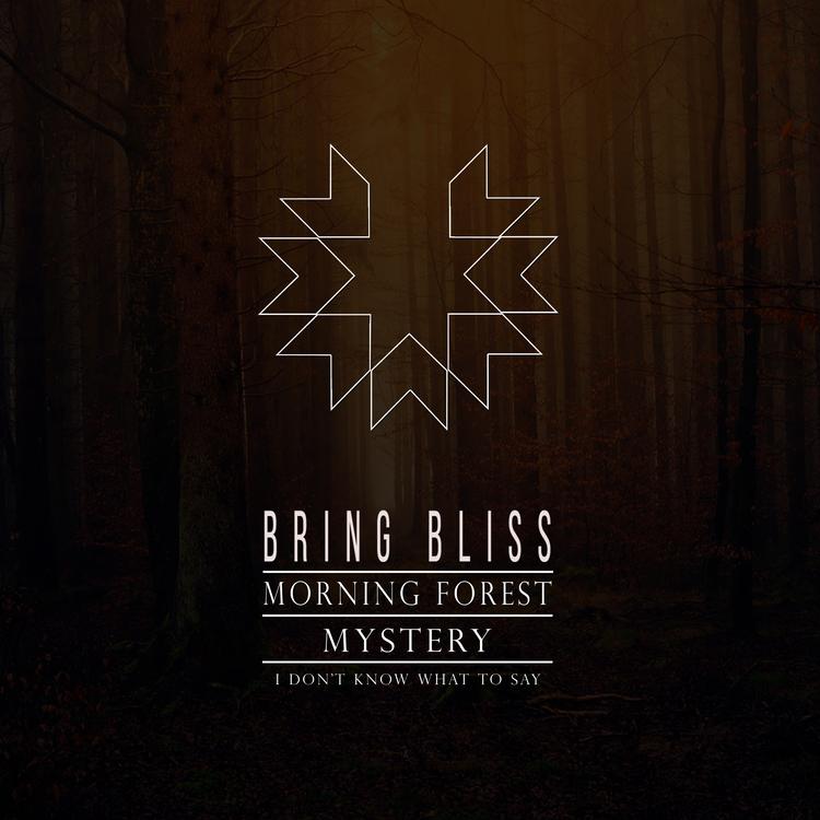 Bring Bliss's avatar image