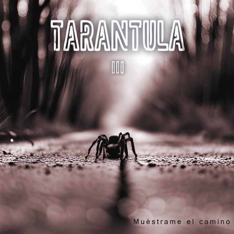 Tarántula's avatar image