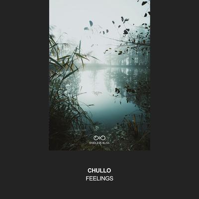 Feelings By Chullo's cover