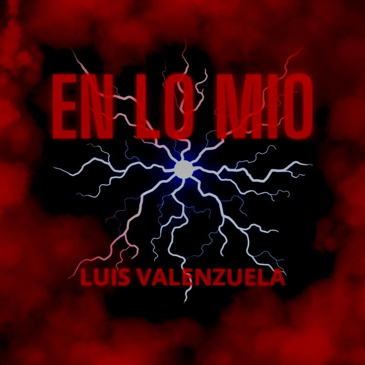 Luis Valenzuela's avatar image