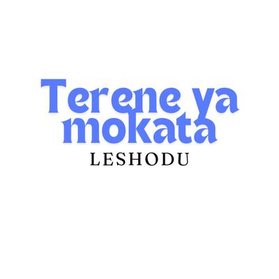 Terene ya mokata (leshodu)'s cover