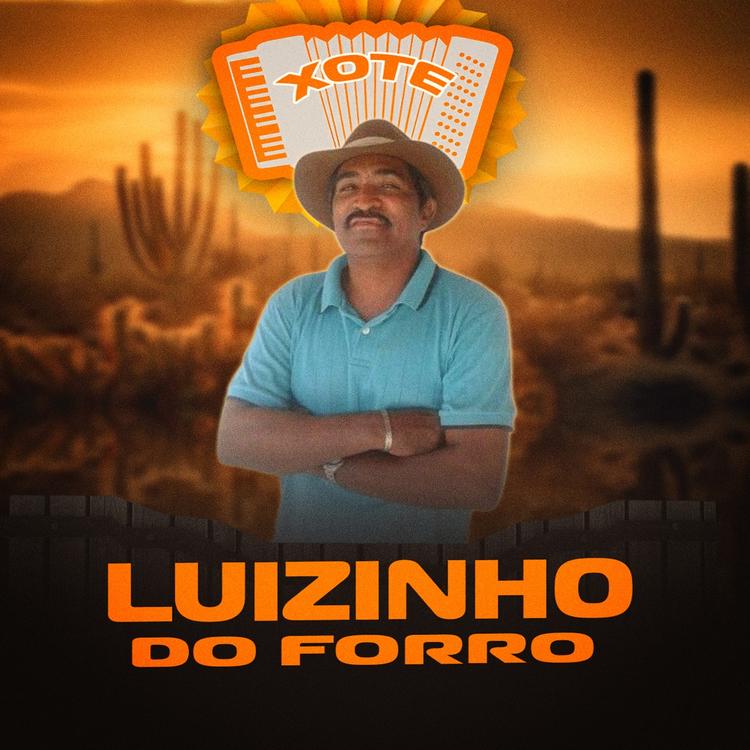 Luizinho do Forró's avatar image