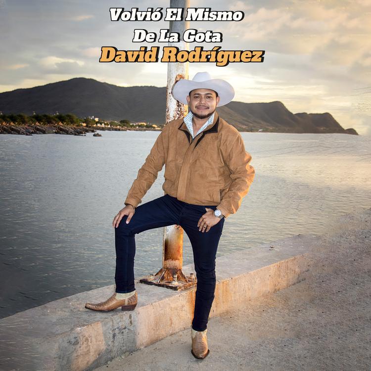 David Rodríguez's avatar image