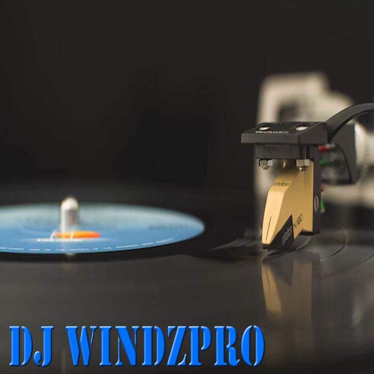 DJ WindzPro's avatar image