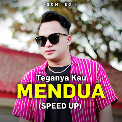 Teganya Kau Mendua (Speed Up)'s cover