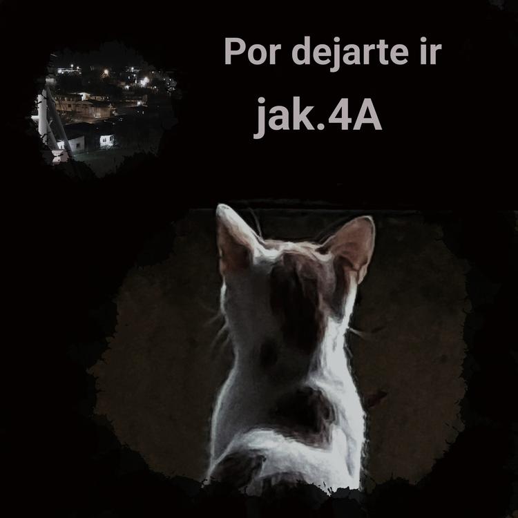 Jak.4A's avatar image