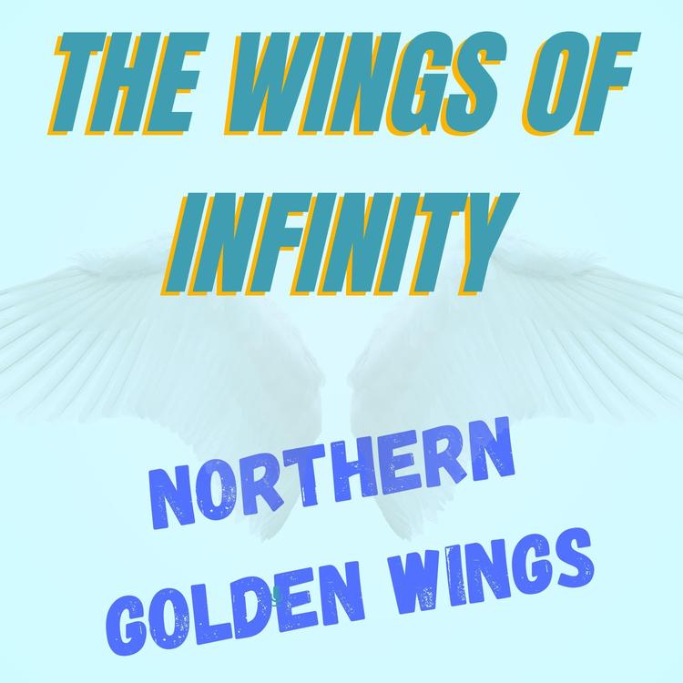 The Wings of Infinity's avatar image