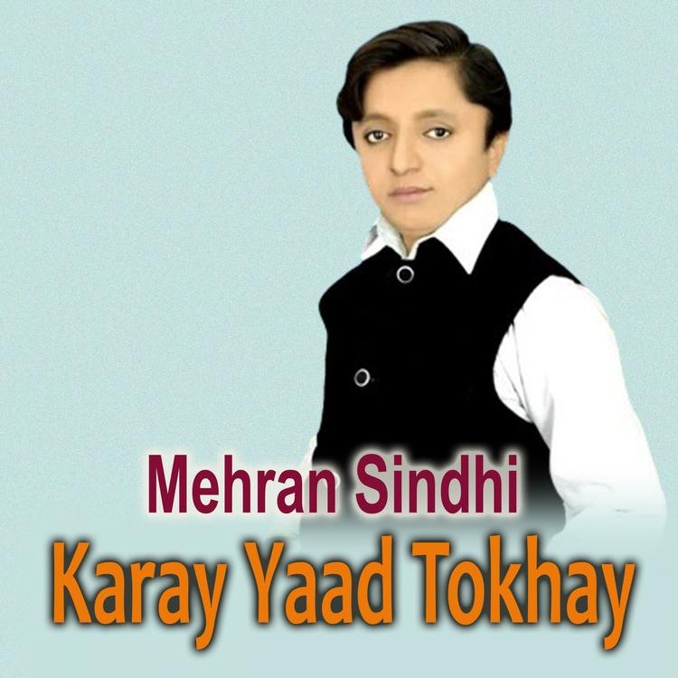 Mehran Sindhi's avatar image