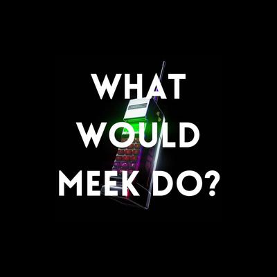 What Would Meek Do?'s cover