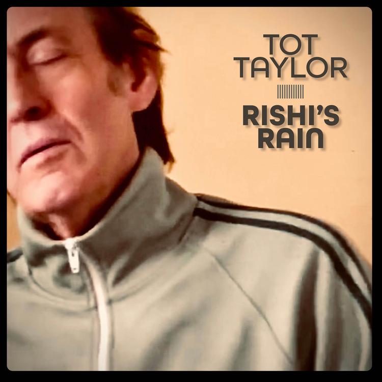 Tot Taylor's avatar image