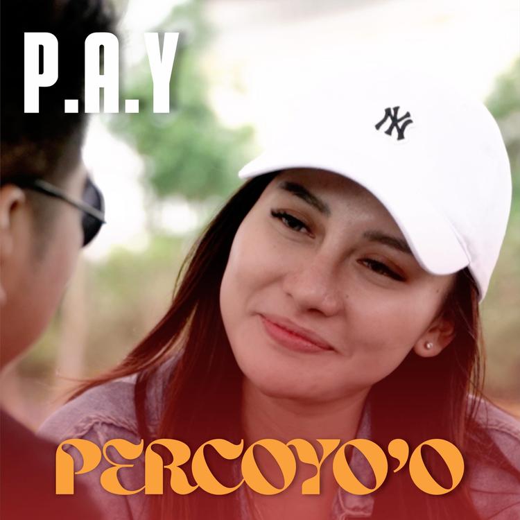 P.A.Y's avatar image