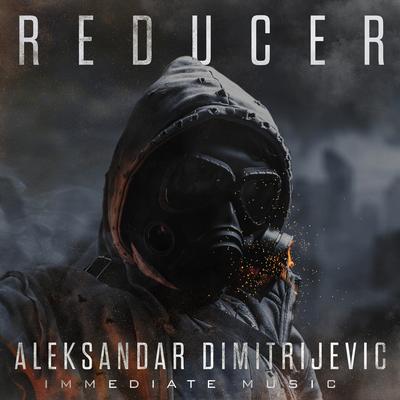 Reducer's cover