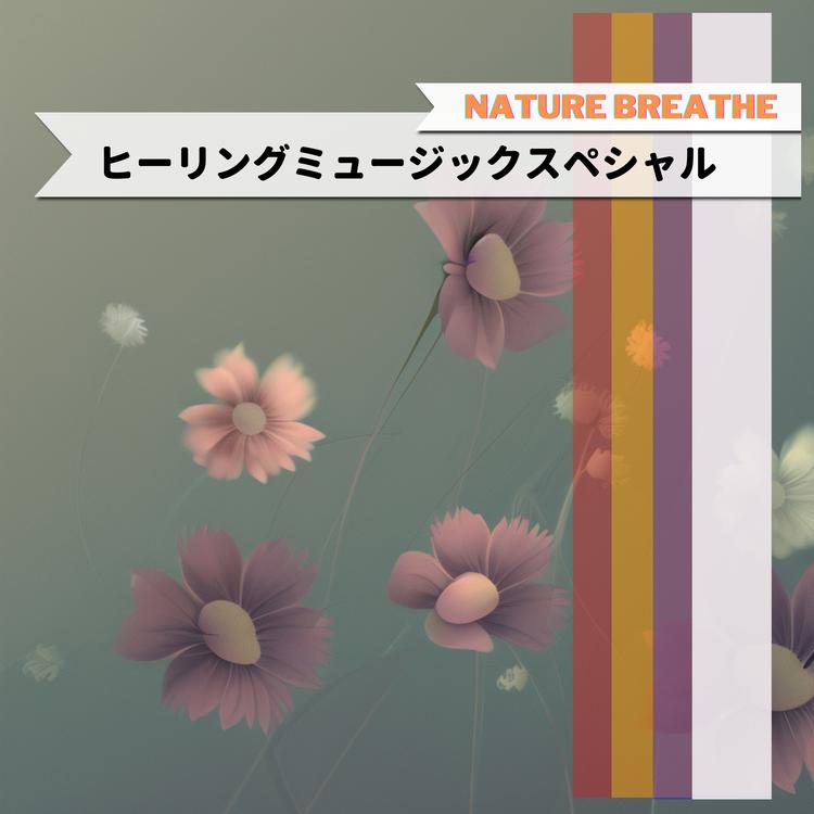 Nature Breathe's avatar image