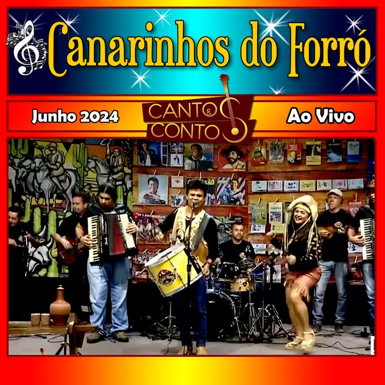 Canarinhos do Forró's avatar image