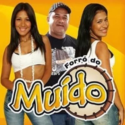 Forró Do Muído, Vol.1's cover