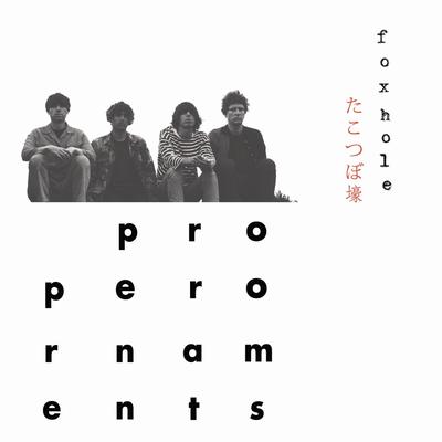 Bridge by a Tunnel By The Proper Ornaments's cover