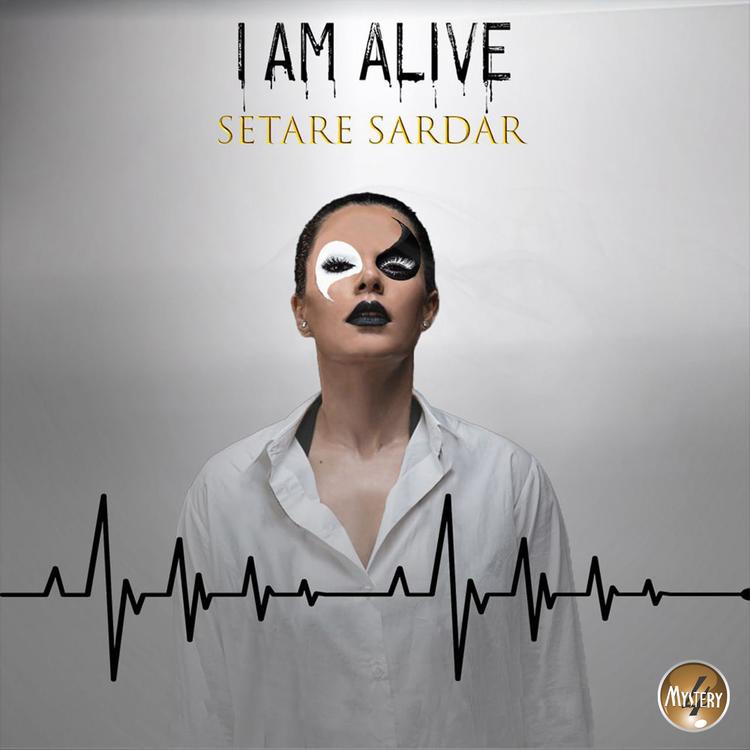 Setare Sardar's avatar image